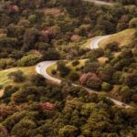 autumn-bird-s-eye-view-cars-104336